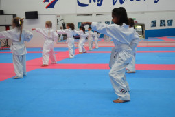 Entry Level Taekwondo Face Punch