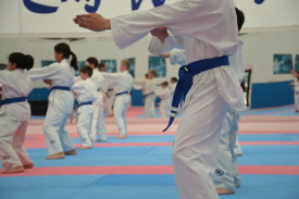 City West Taekwondo Blue Belt 2 Stripe