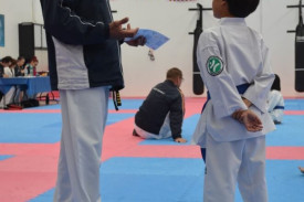 Mentoring Post Taekwondo Grading Examinations