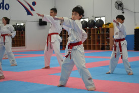 Red Belt Powerful Strikes Education & Tuition