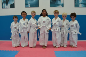 Starting Taekwondo Class of 18