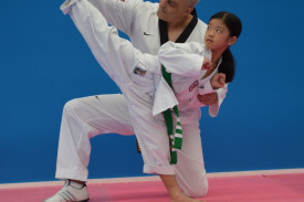 Positive Role Models Taekwondo Instructors