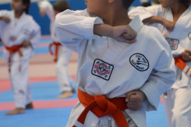 Benefits Staring Taekwondo Young Age