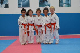 Taekwondo Multicultural and Inclusive Club