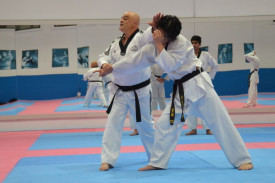 Taekwondo Black Belt Continuing Education Seminar 2