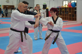 Taekwondo - Elbow Board Break