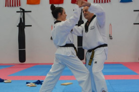 Martial Arts Continuing Education Seminar Knife Defence