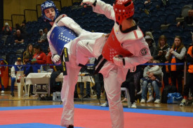 Taekwondo Fighting Club Western Suburbs Melbourne