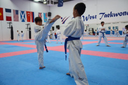 Youth Taekwondo Skillful Roundhouse Kick