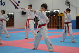 Red Belt Powerful Strikes Education & Tuition