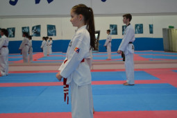 Posture and Presence through Taekwondo Practice