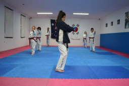 Specific Level Teakwondo Instruction - Danieka De Pasquale