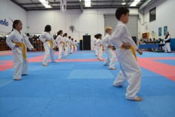 Taekwondo School With A Difference - Old School Principles