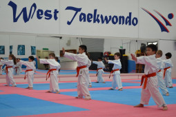ministars Taekwondo Classes Western Suburbs