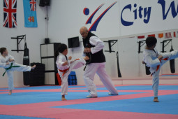 Great Taekwondo Kicks