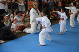 Taekwondo Demonstration St James school Hoppers Crossing