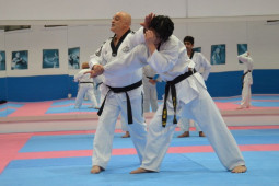 Taekwondo Black Belt Continuing Education Seminar 2