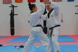 Martial Arts Continuing Education Seminar Knife Defence